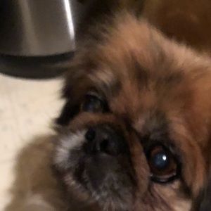 Meet your Posher, Jayne